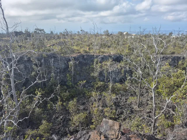 a view of a building