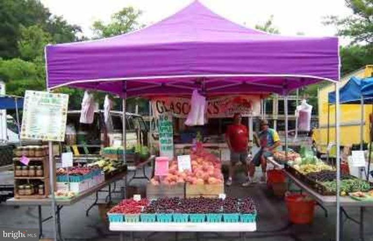 1610 Greenbriar Court Reston, VA 20190 - Photo 15 of 22 Lake Anne farmers Market Sat. Spring to Fall