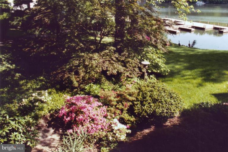 1610 Greenbriar Court Reston, VA 20190 - Photo 8 of 22 Back Yard Springtime!