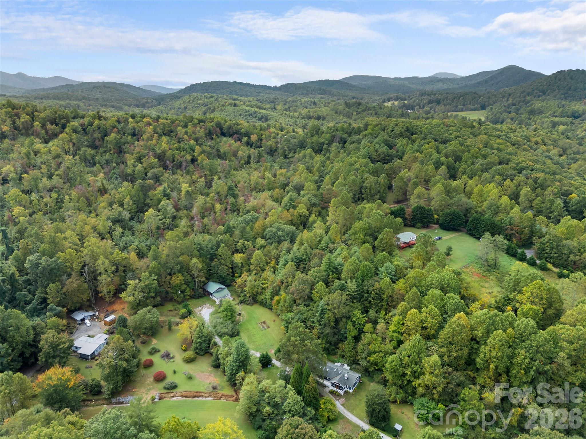 645 West Fork Creek Road Saluda, NC 28773 - Photo 42 of 44 a view of a lush green hillside and houses