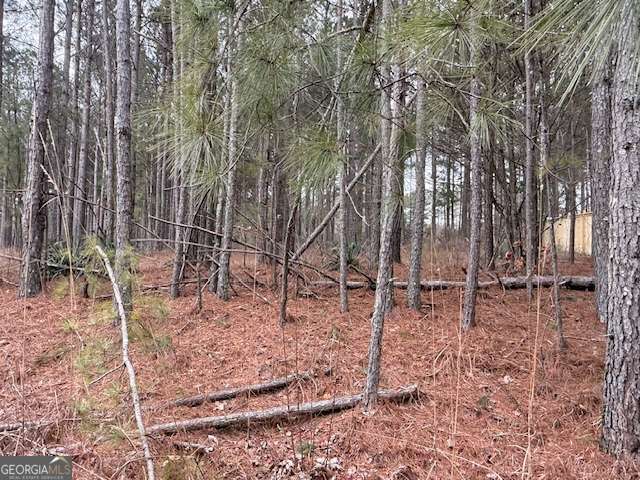 266 Old Yorkville Road Rockmart, GA 30153 - Photo 4 of 5