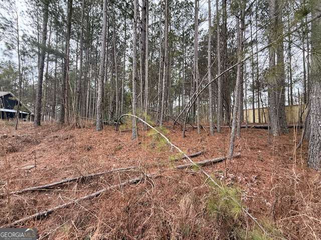 266 Old Yorkville Road Rockmart, GA 30153 - Photo 5 of 5