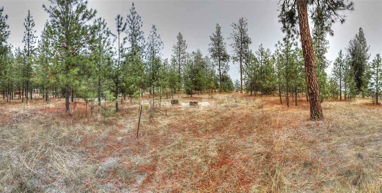14421 South Merriney Road Cheney, WA 99004 - Photo 2 of 20