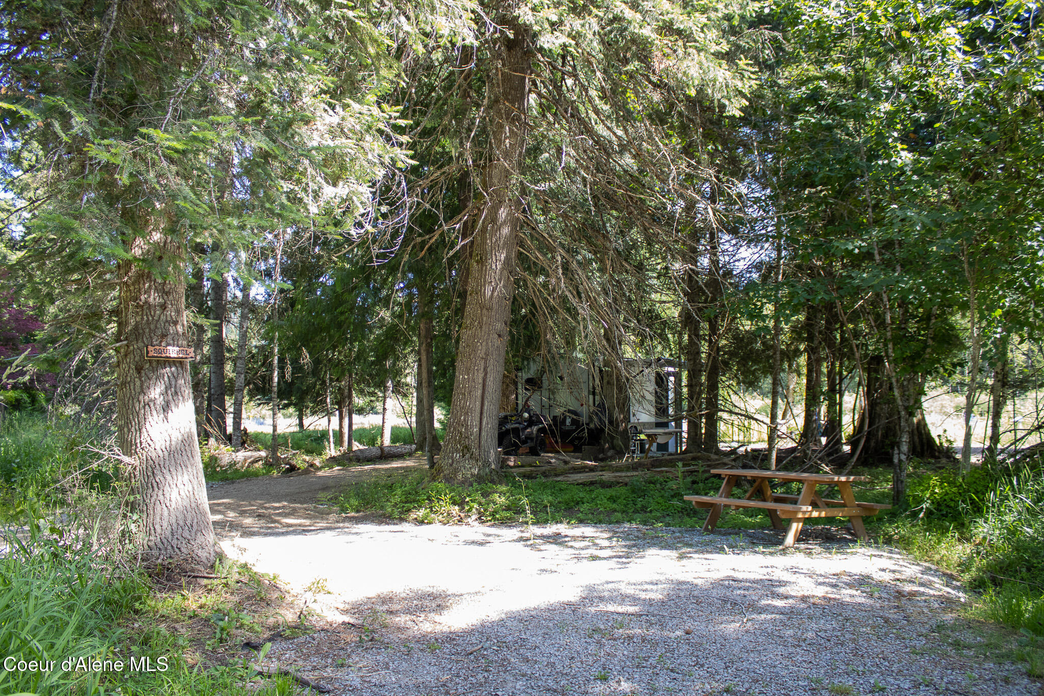 20264 Coeur D'Alene River Road Wallace, ID 83873 - Photo 57 of 59 Squirrel Campsite