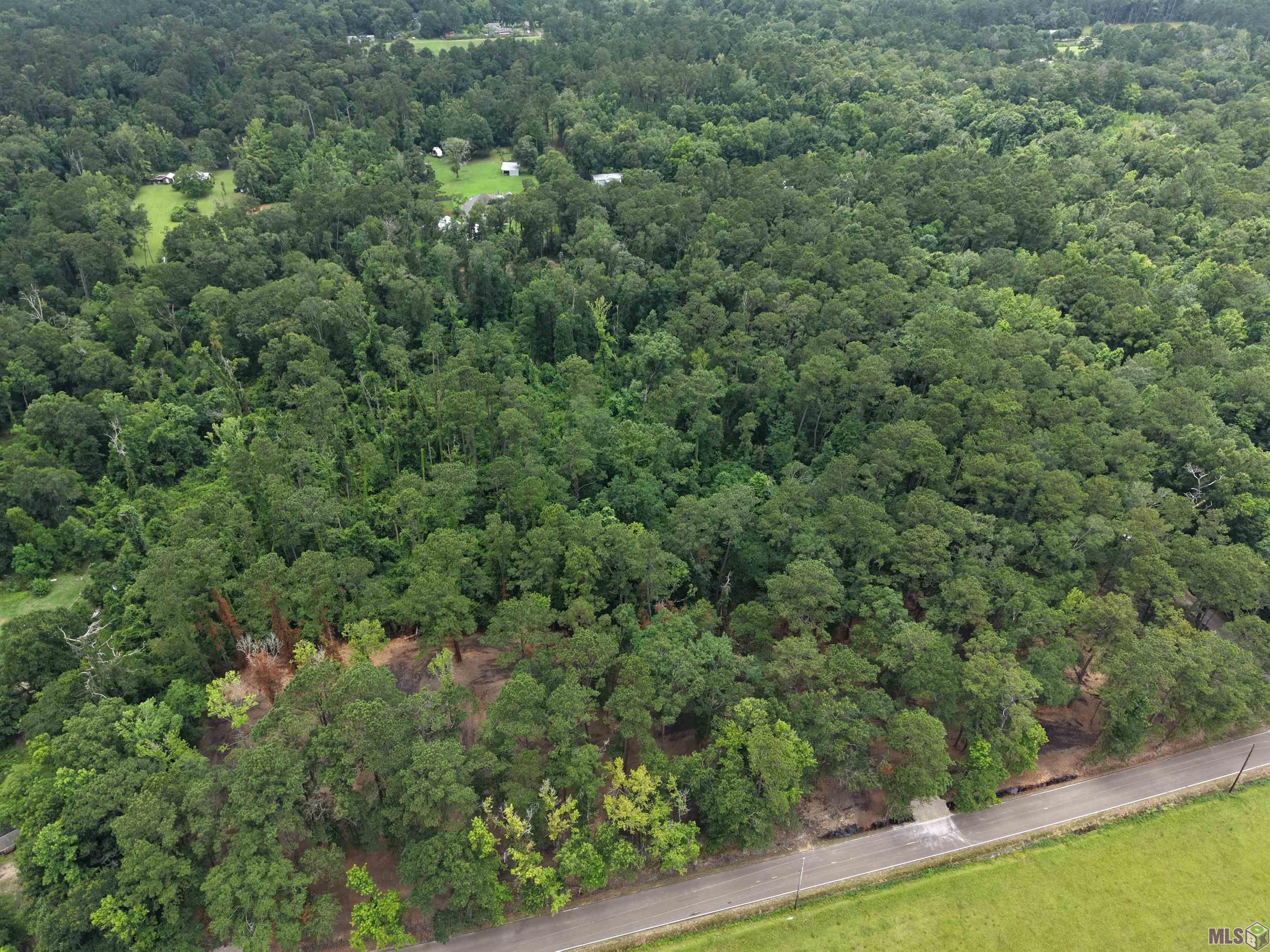 Tract C Esterbrook Road Ponchatoula, LA 70454 - Photo 4 of 13