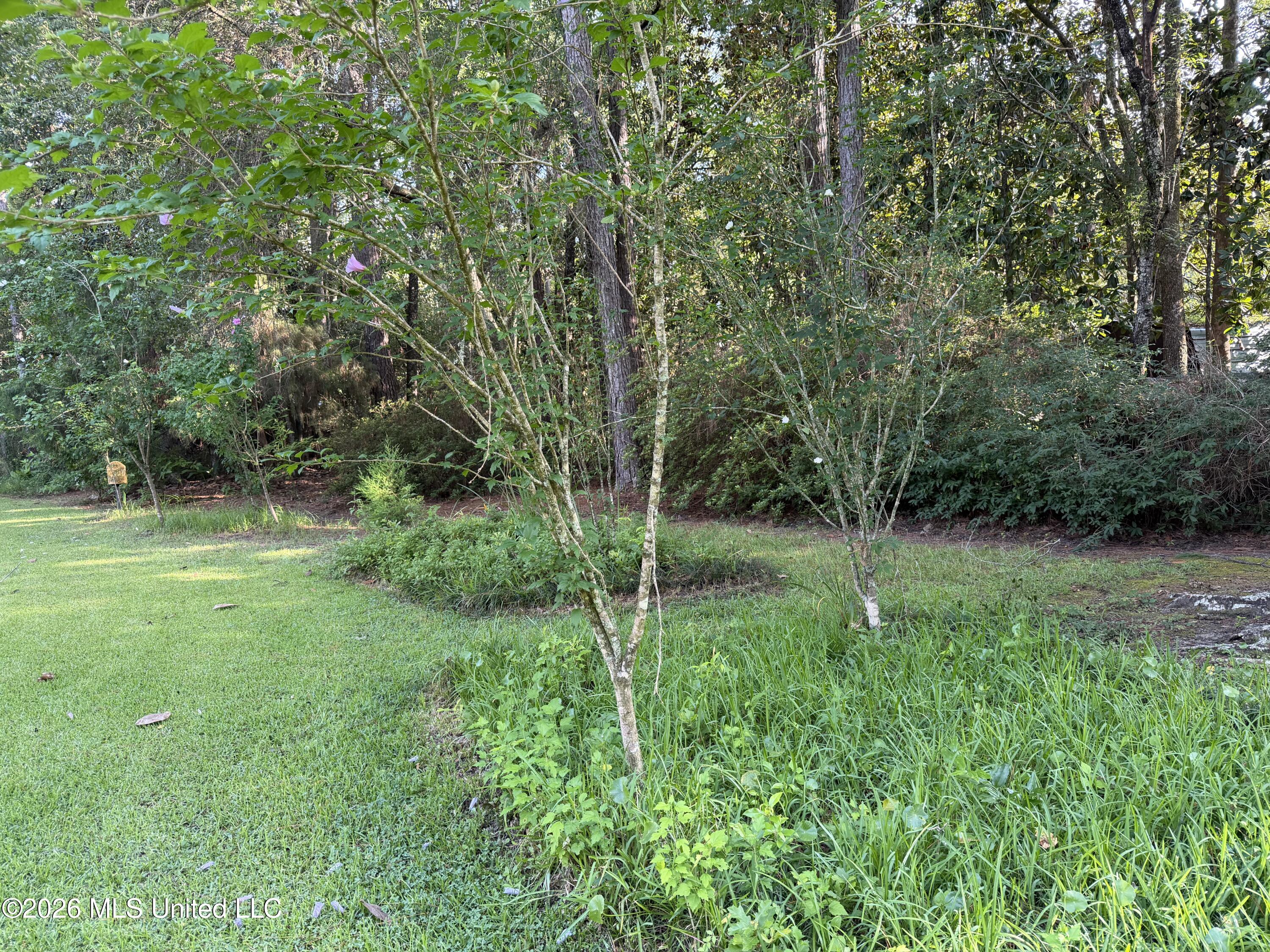 9141 Heather Lane Moss Point, MS 39562 - Photo 55 of 66 IMG_0776