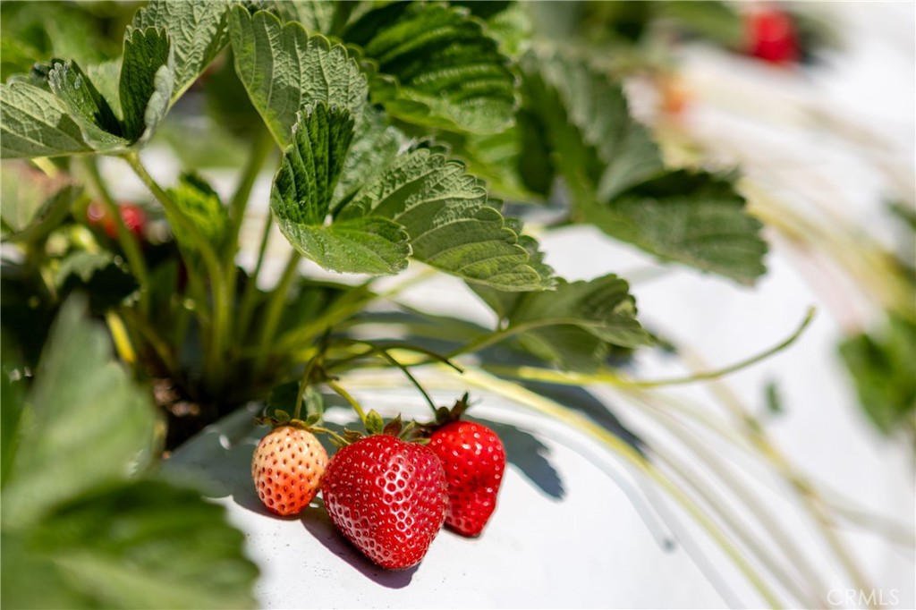 0 Indiana Way Nipomo, CA 93444 - Photo 12 of 22