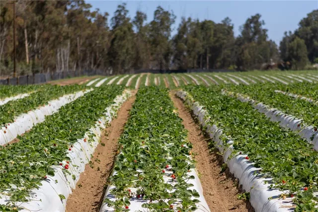 $1,750,000 | 0 Indiana Way, Nipomo, CA 93444