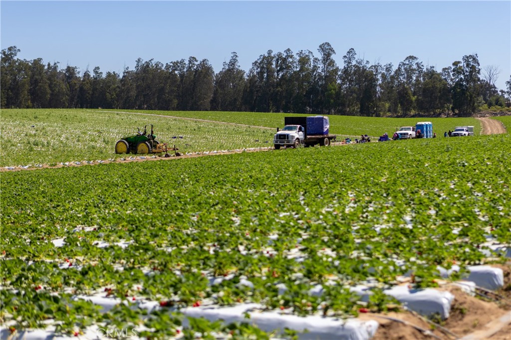 0 Indiana Way Nipomo, CA 93444 - Photo 5 of 22