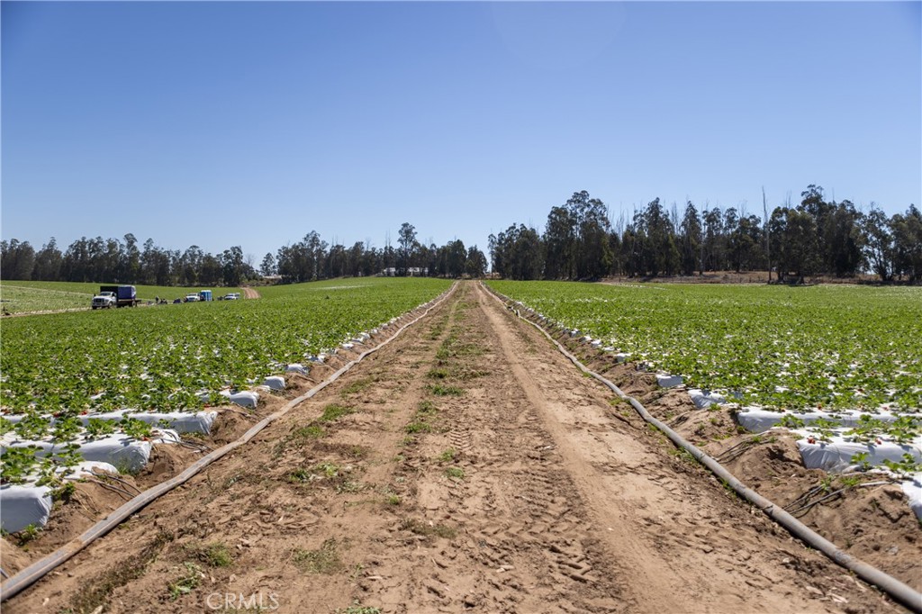 0 Indiana Way Nipomo, CA 93444 - Photo 6 of 22