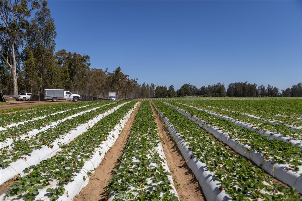 0 Indiana Way Nipomo, CA 93444 - Photo 8 of 22