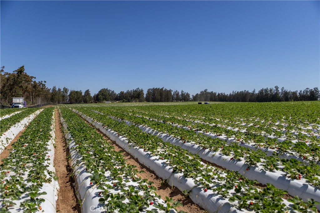 0 Indiana Way Nipomo, CA 93444 - Photo 9 of 22