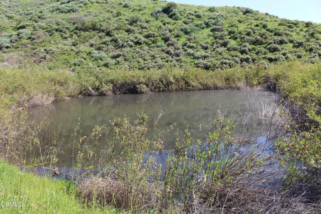 0 Dickenson Road Santa Paula, CA 93060 - Photo 18 of 43 IMG_6110
