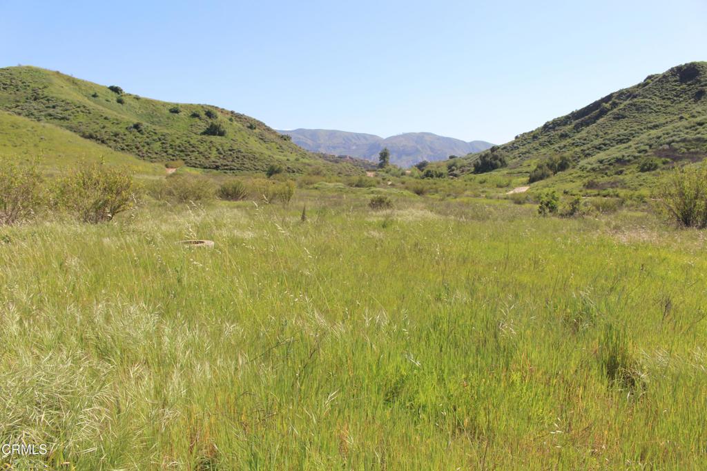 0 Dickenson Road Santa Paula, CA 93060 - Photo 2 of 43 IMG_6119