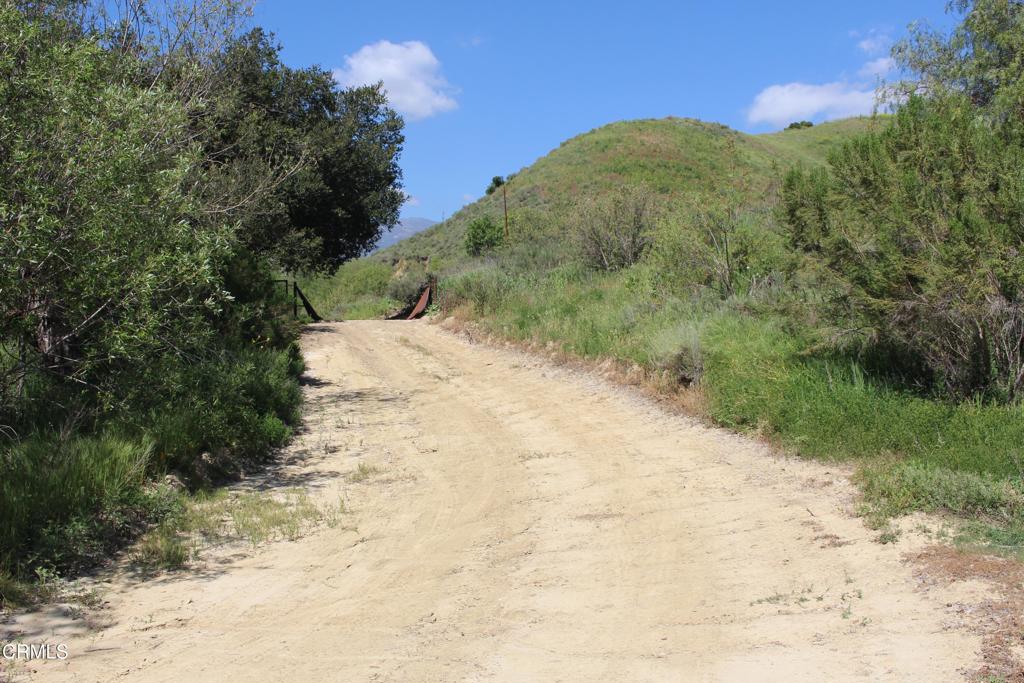 0 Dickenson Road Santa Paula, CA 93060 - Photo 3 of 43 IMG_6101