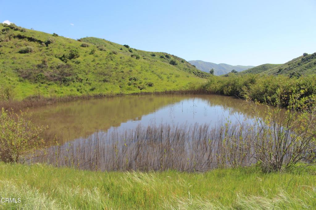 0 Dickenson Road Santa Paula, CA 93060 - Photo 4 of 43 IMG_6112