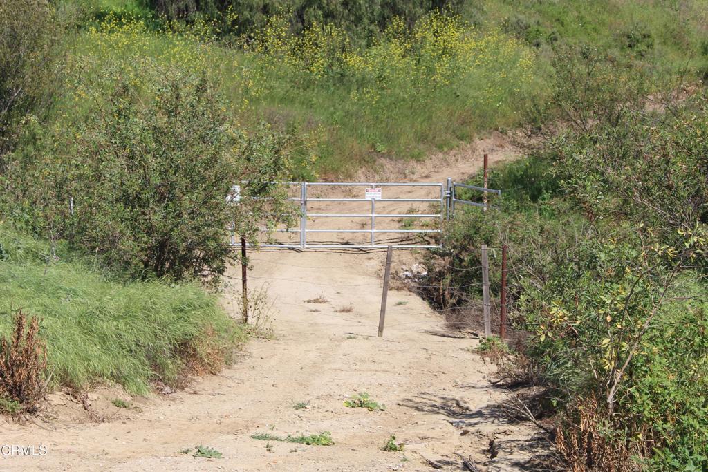 0 Dickenson Road Santa Paula, CA 93060 - Photo 42 of 43 IMG_6096