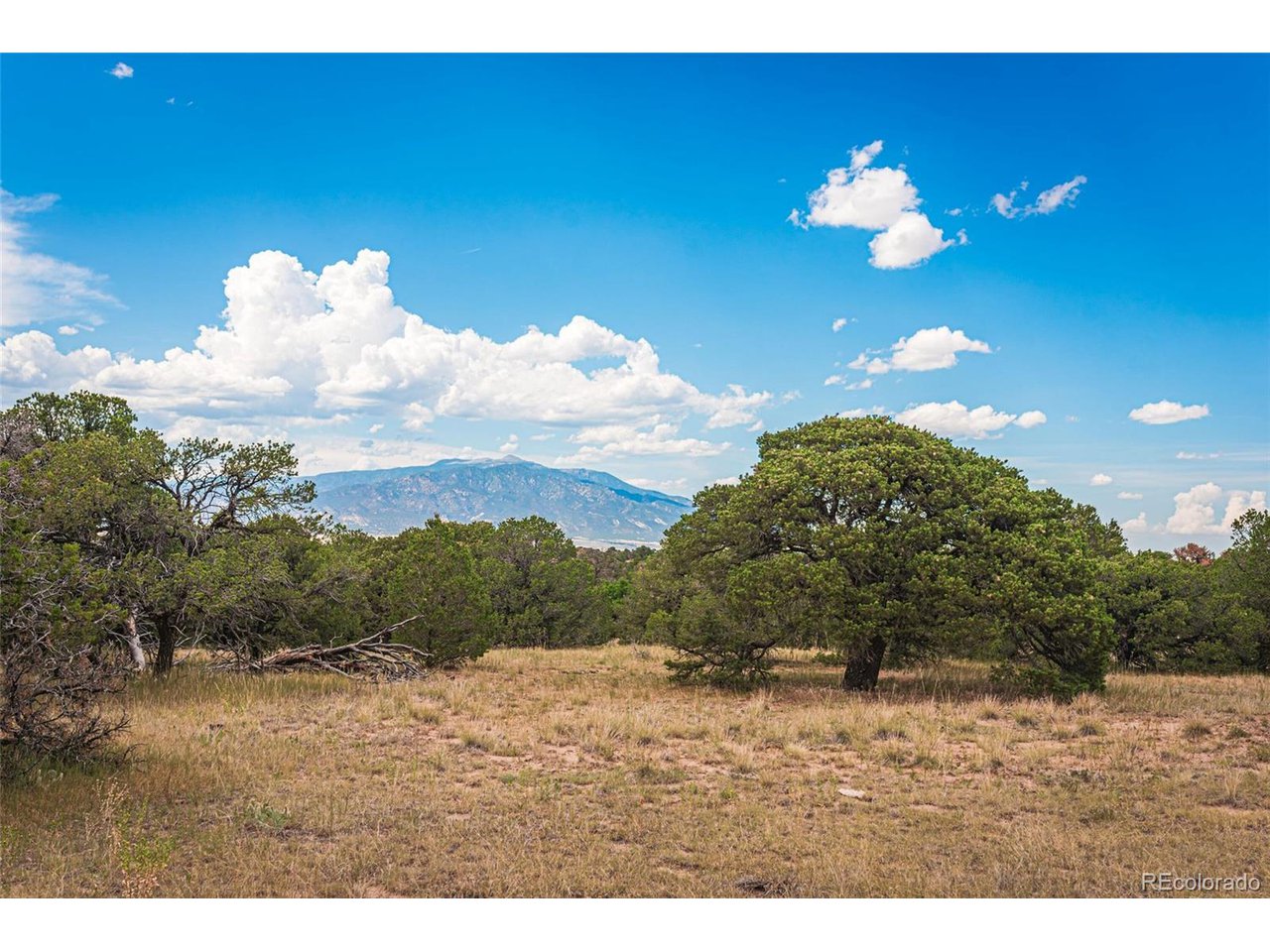 521 County Road Walsenburg, CO 81089 - Photo 5 of 29 Gallery Image 5