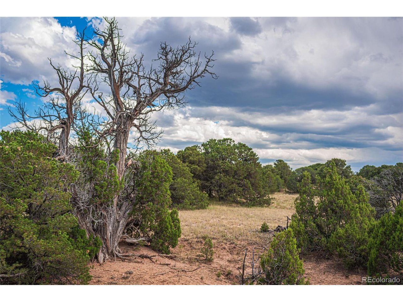 521 County Road Walsenburg, CO 81089 - Photo 10 of 29 Gallery Image 10