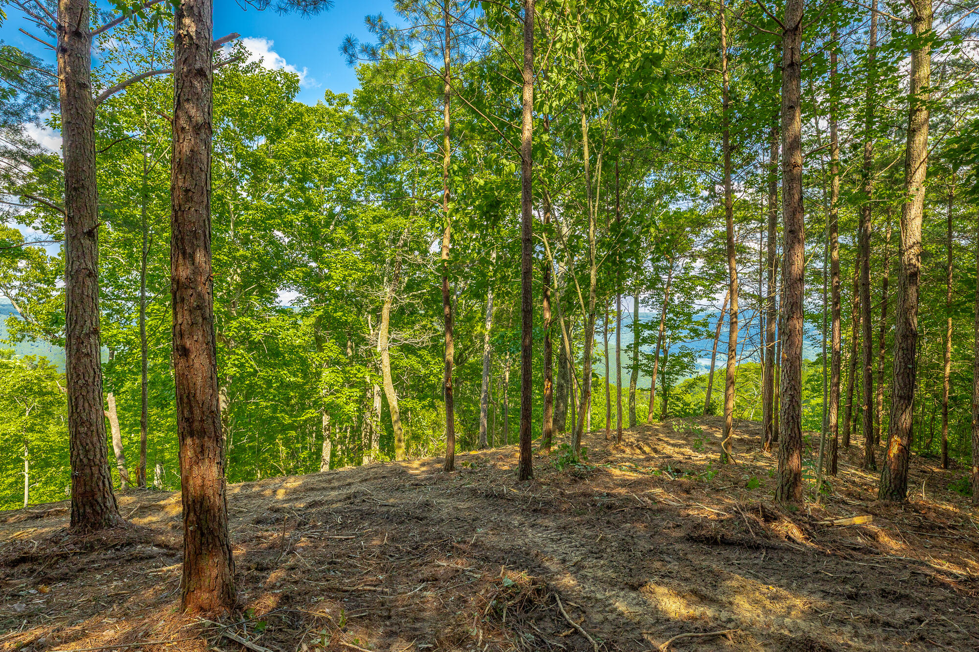 0 Back Basin Trail, Unit LOT 1244 Chattanooga, TN 37419 - Photo 17 of 119 MCW Correction HD-12