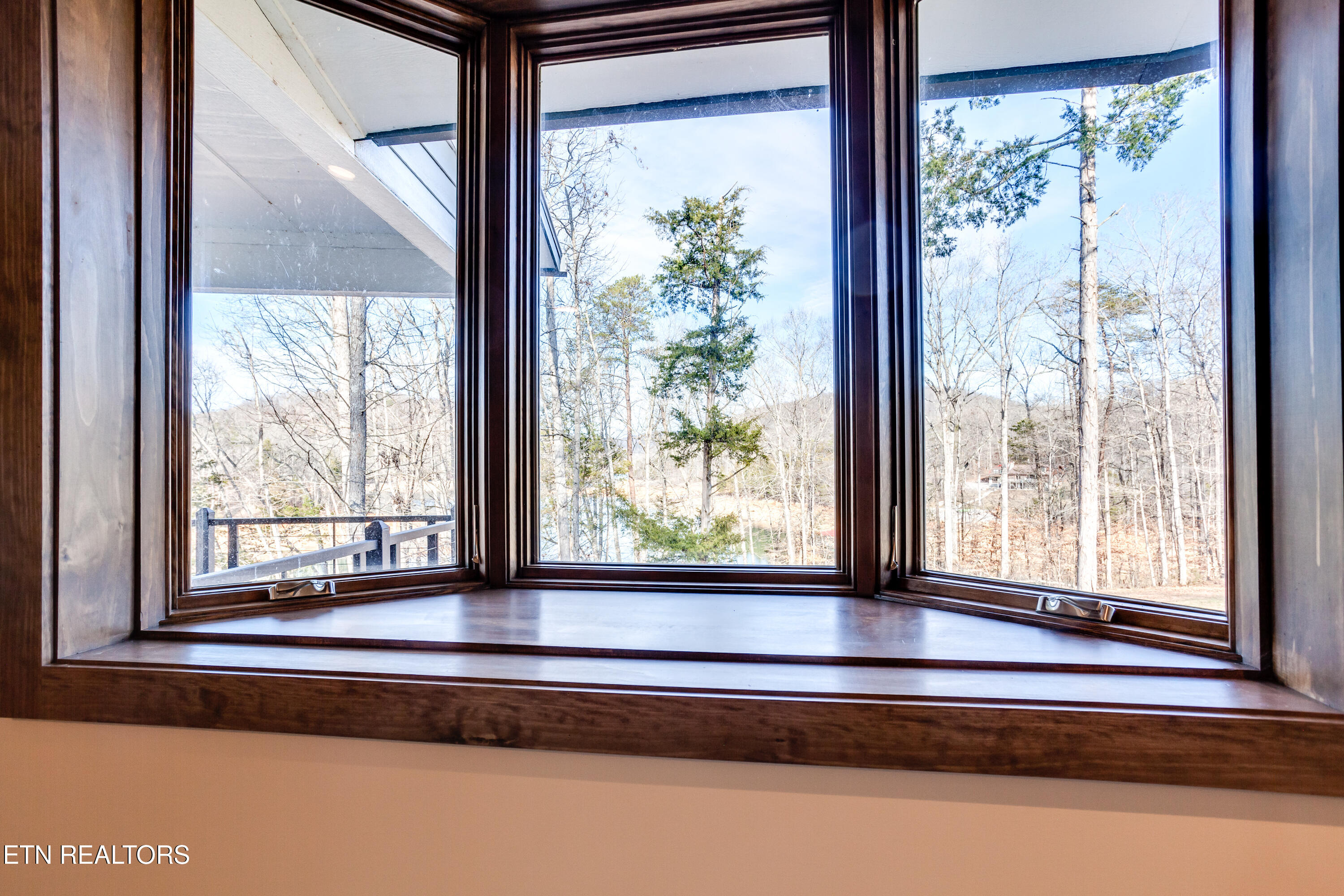 194 Helms Ferry Road Sharps Chapel, TN 37866 - Photo 30 of 60 039251222-1-194HelmsFerryRdSharpsChapelT