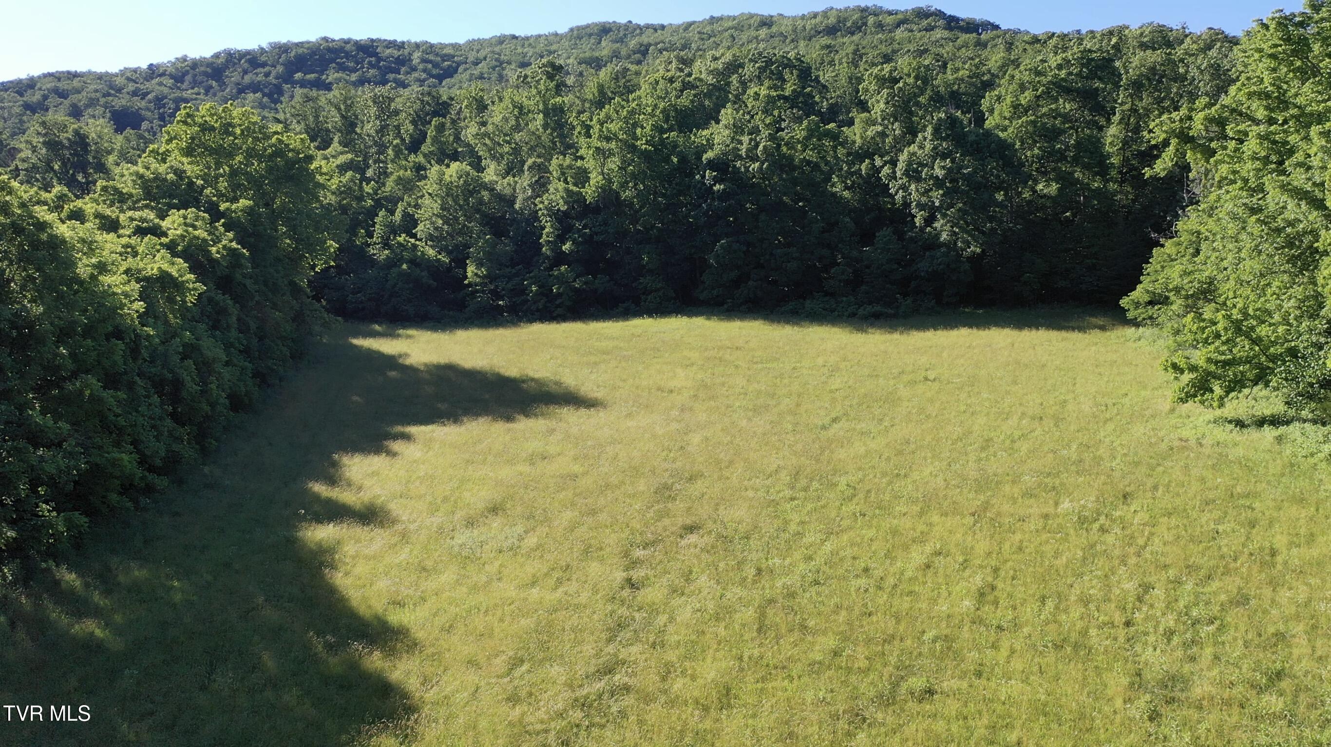 3b Rd Greeneville Tn 37743 Road Greeneville, TN 37743 - Photo 4 of 25 _Pic4 (4)