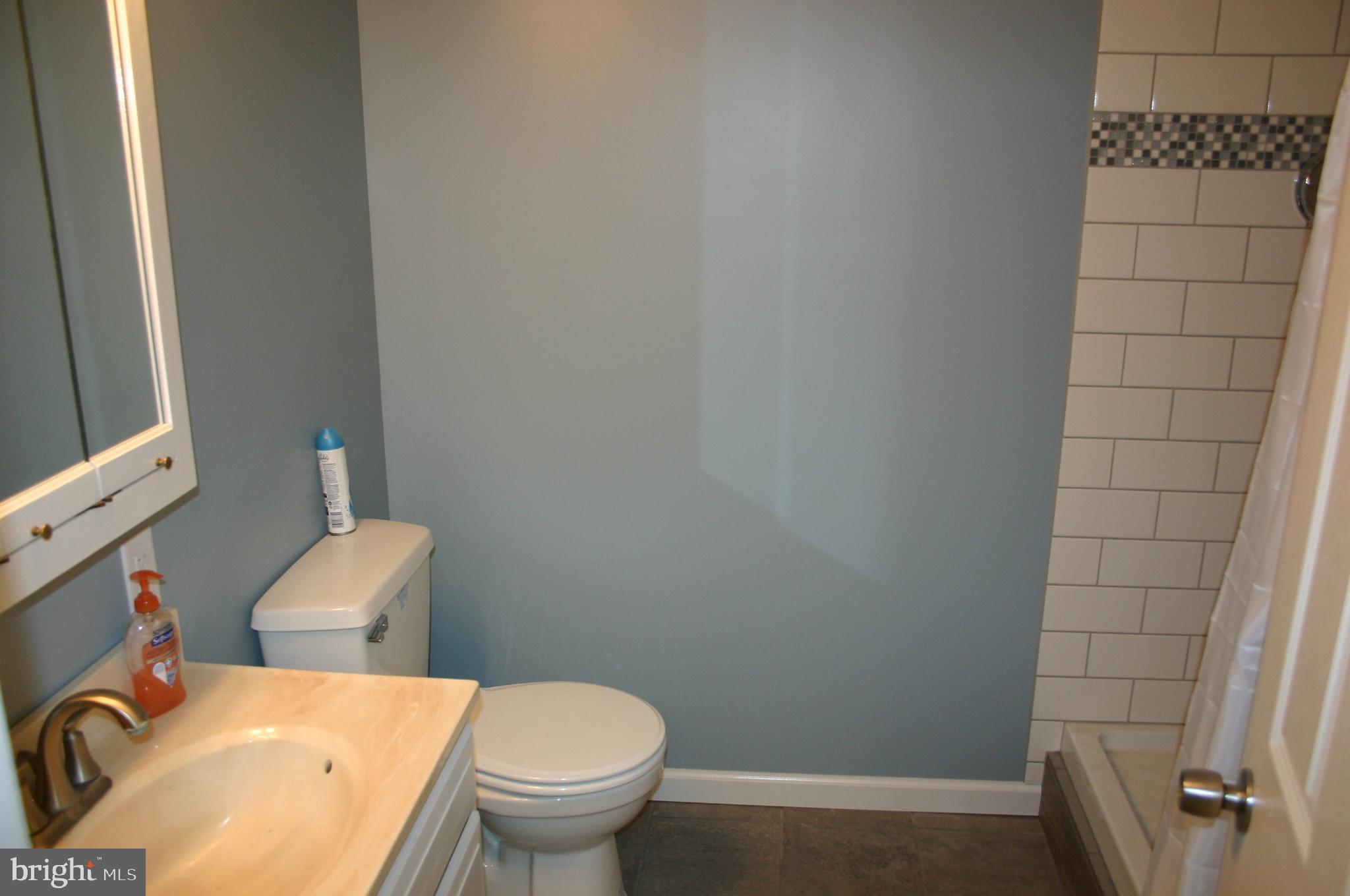 105 Red Mill Road Etters, PA 17319 - Photo 16 of 35 Lower Level Full Bathroom