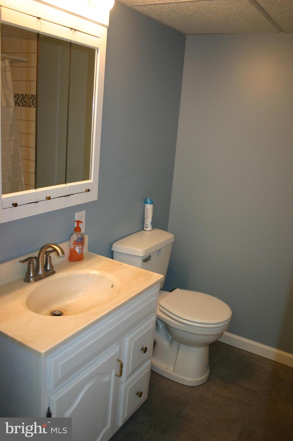 105 Red Mill Road Etters, PA 17319 - Photo 17 of 35 Gallery Image 17
