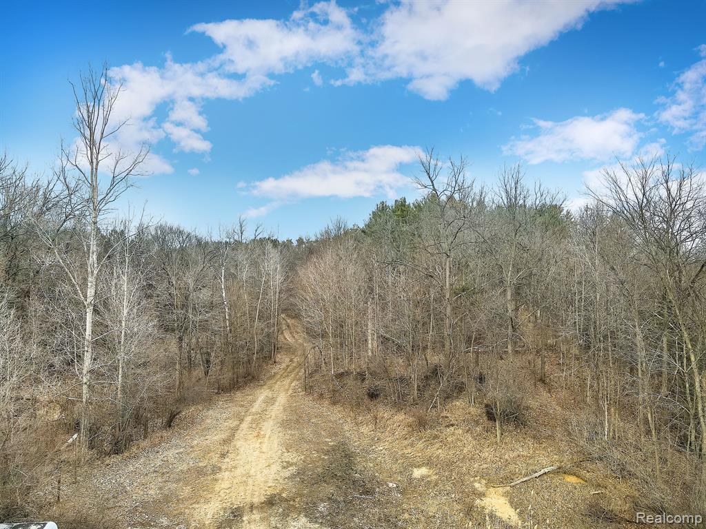 0 Lovejoy Road Byron, MI 48418 - Photo 14 of 14
