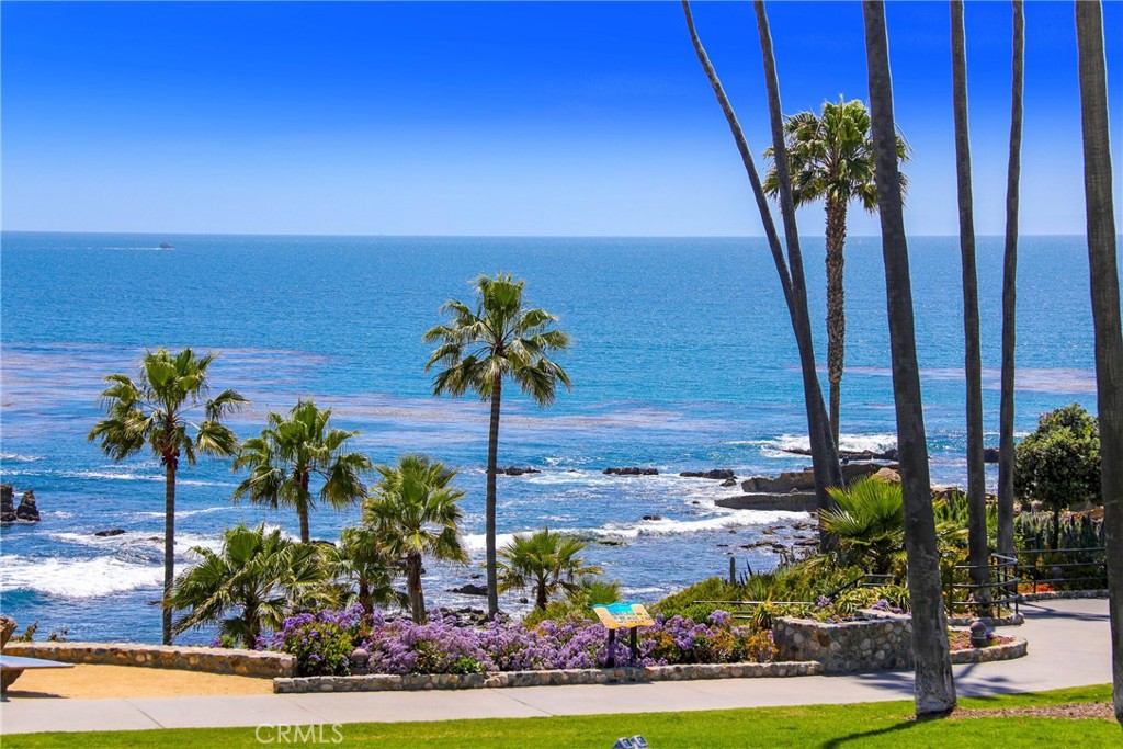 376 Cliff Drive, Unit C Laguna Beach, CA 92651 - Photo 14 of 22 a vase of flowers sitting on a table with a potted plants