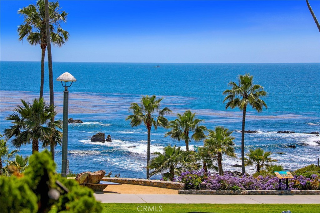 376 Cliff Drive, Unit C Laguna Beach, CA 92651 - Photo 4 of 22 a palm tree sitting in a yard next to a building