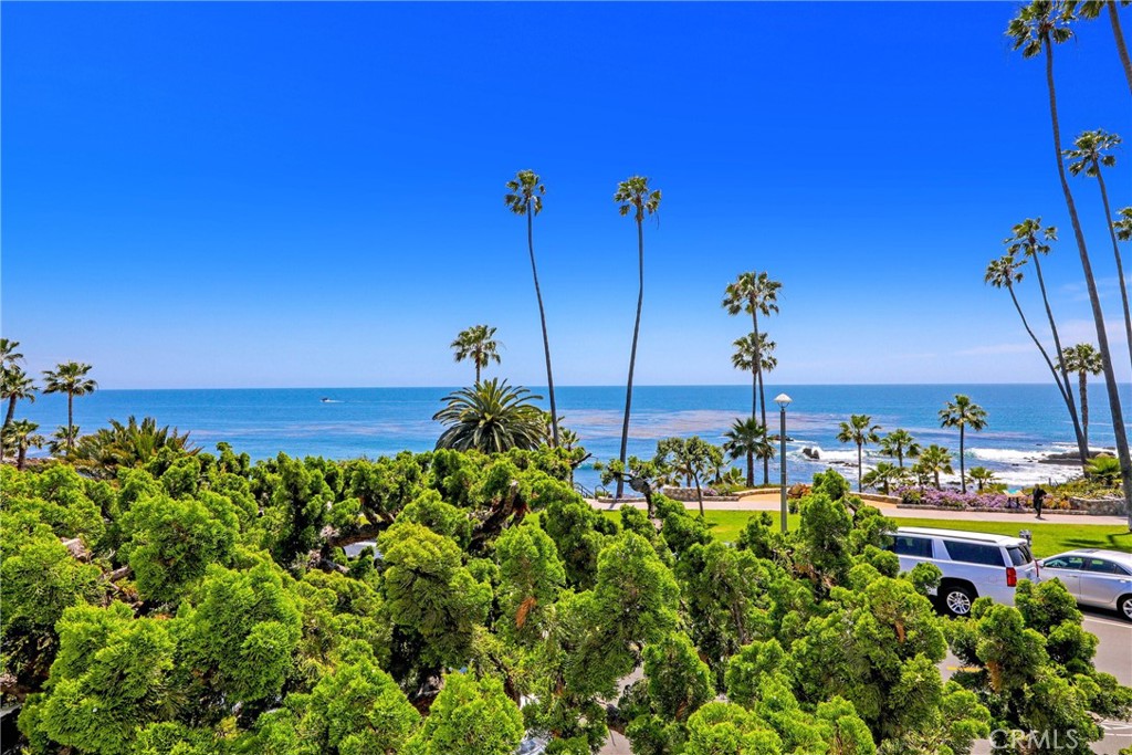 376 Cliff Drive, Unit C Laguna Beach, CA 92651 - Photo 9 of 22 a view of a garden with a lake