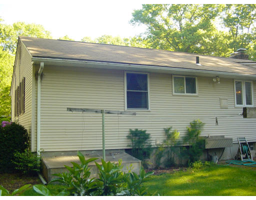 45 Endecott Street Springfield, MA 01118 - Photo 6 of 28 a view of a house with a yard and plants