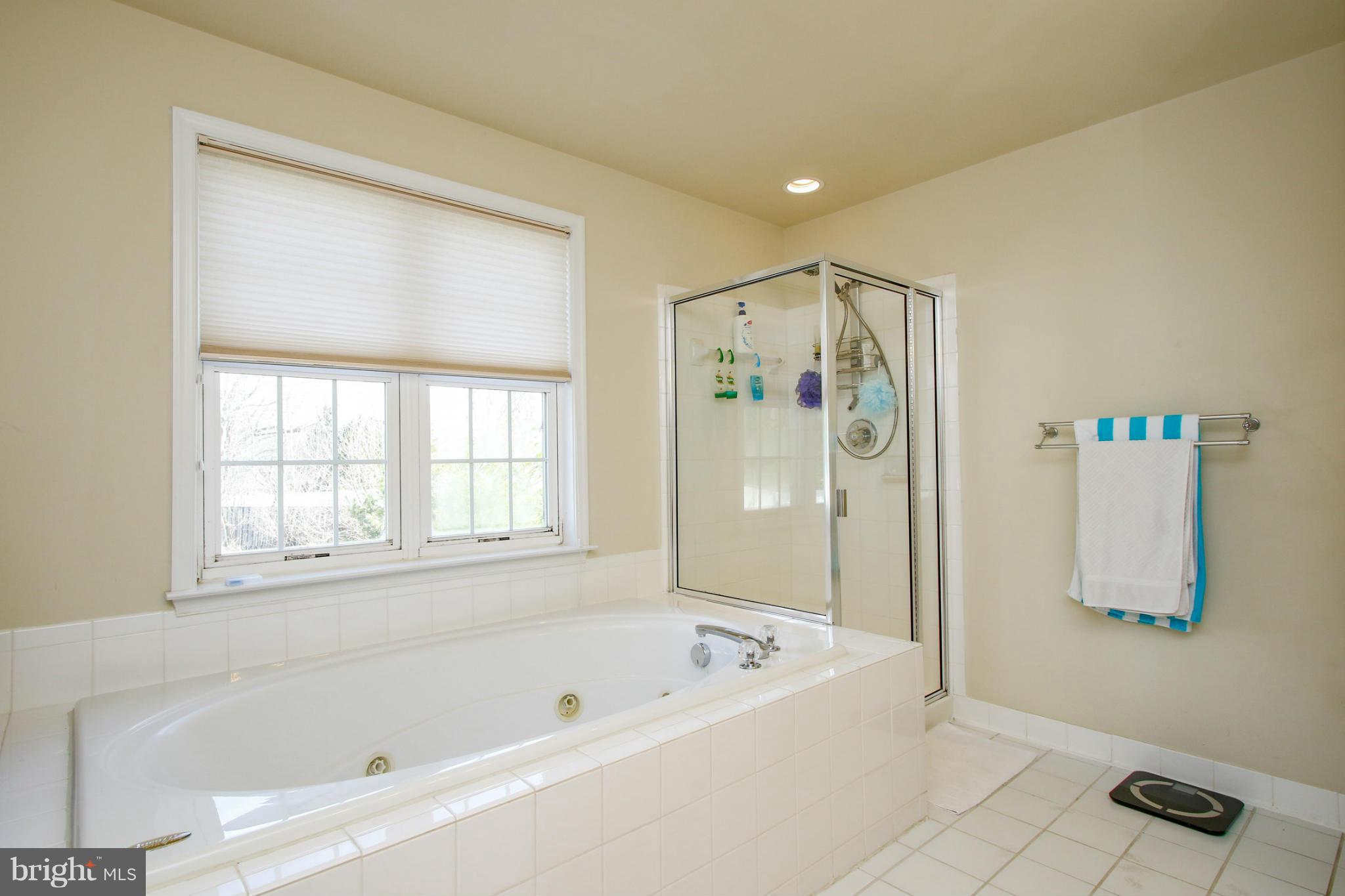 8412 Lark Brown Road Columbia, MD 21045 - Photo 13 of 30 Bath (Master)
