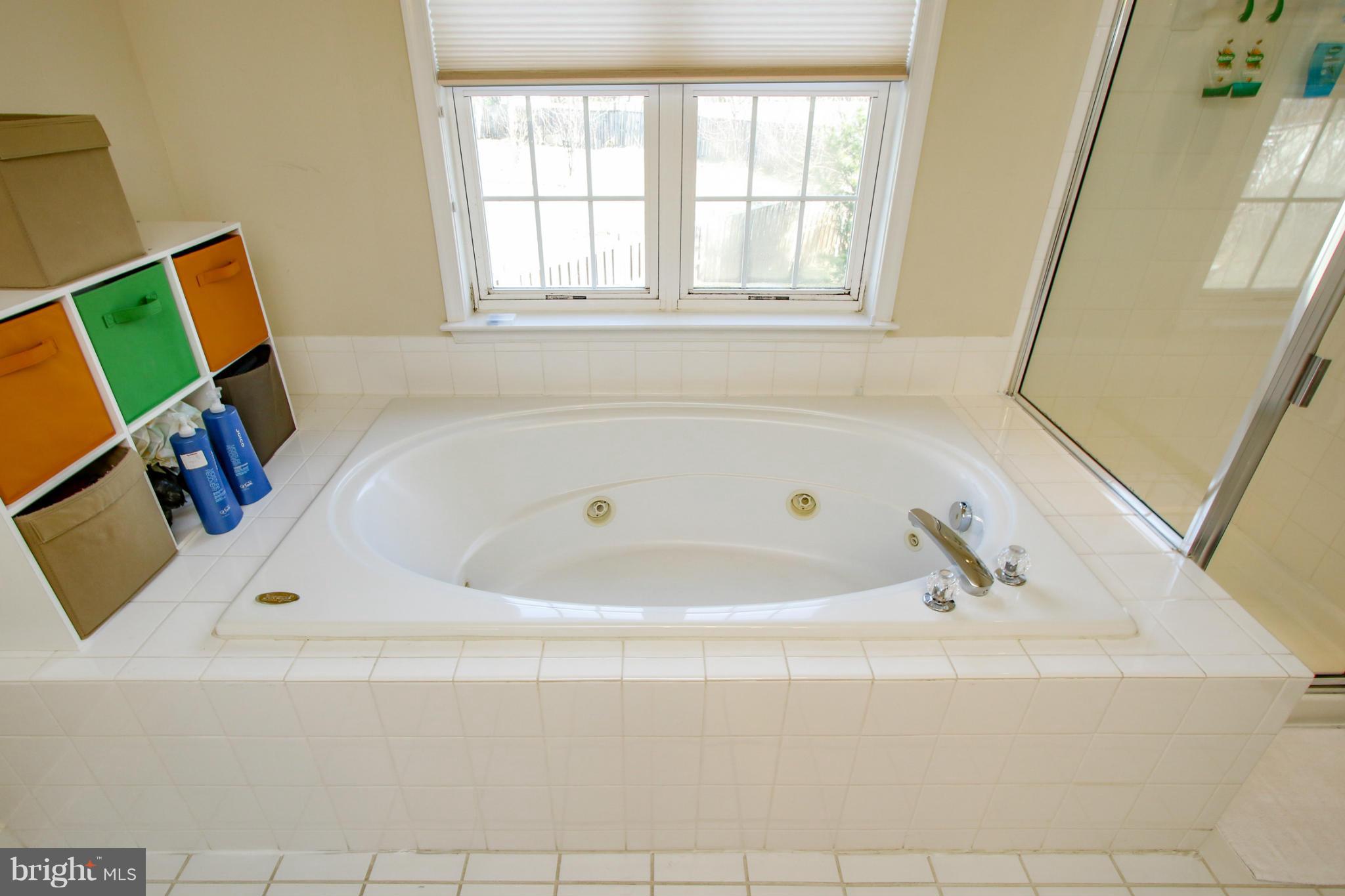 8412 Lark Brown Road Columbia, MD 21045 - Photo 14 of 30 Bath (Master)
