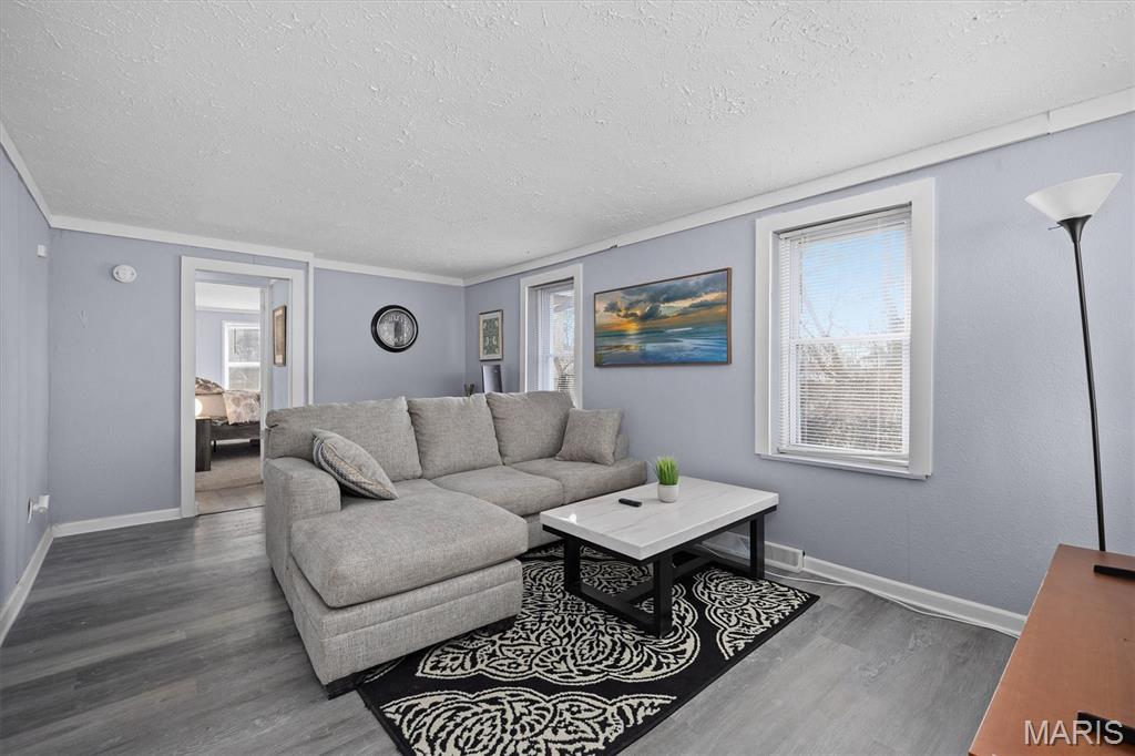 226 North 8th Street Belleville, IL 62220 - Photo 3 of 28