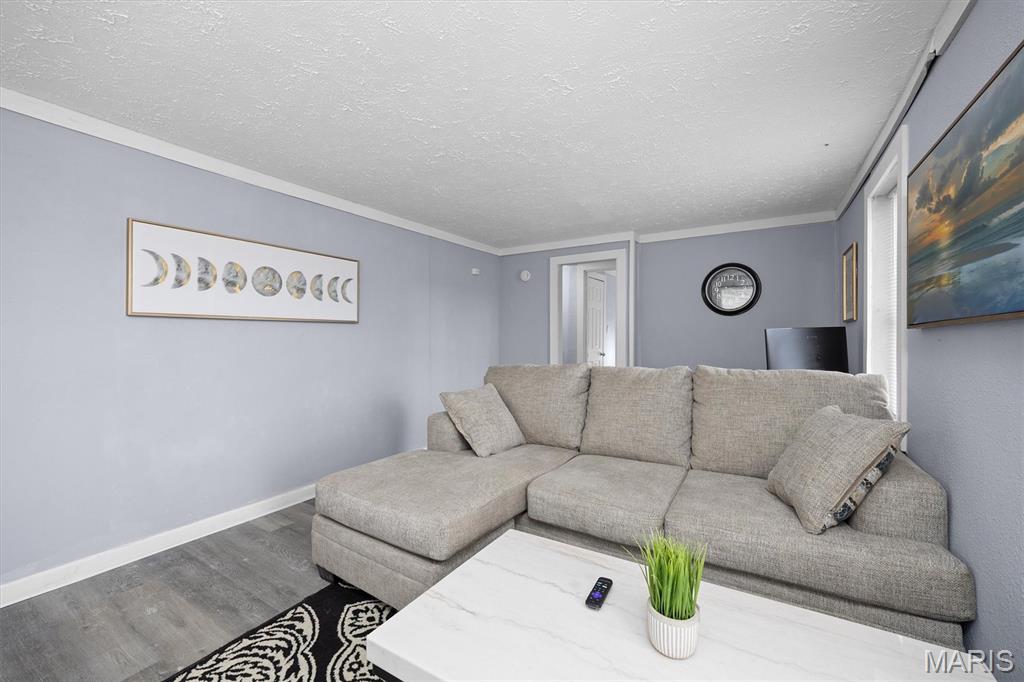 226 North 8th Street Belleville, IL 62220 - Photo 4 of 28