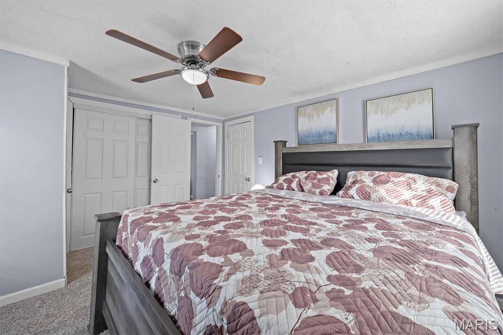 226 North 8th Street Belleville, IL 62220 - Photo 8 of 28