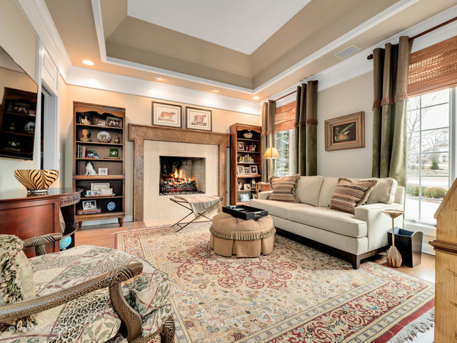 20 Ashton Drive Burr Ridge, IL 60527 - Photo 11 of 59 a living room with furniture and a fireplace