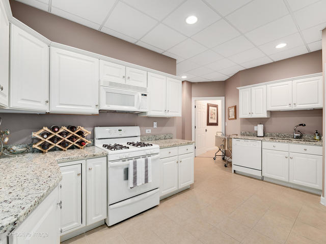 20 Ashton Drive Burr Ridge, IL 60527 - Photo 42 of 59 a kitchen with granite countertop a stove sink and cabinets