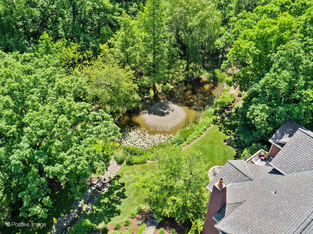20 Ashton Drive Burr Ridge, IL 60527 - Photo 47 of 59 a view of a house with a yard