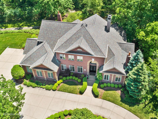 20 Ashton Drive Burr Ridge, IL 60527 - Photo 53 of 59 a aerial view of a house with a yard and potted plants