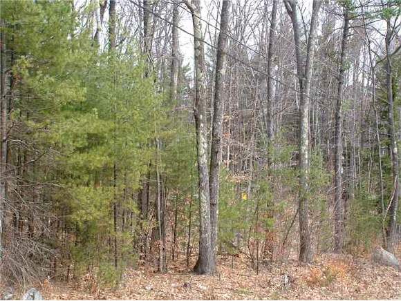 Lot 52 Needle Eye Road Meredith, NH 03253 - Photo 1 of 9