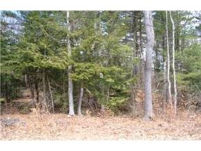 Lot 52 Needle Eye Road Meredith, NH 03253 - Photo 4 of 9