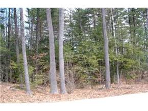 Lot 52 Needle Eye Road Meredith, NH 03253 - Photo 8 of 9