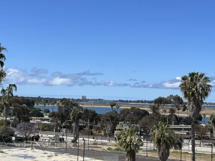 a view of a lake with palm trees
