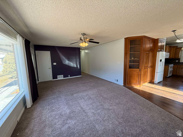 73 Garden Street Helper, UT 84526 - Photo 19 of 36 Unfurnished living room with ceiling fan, dark colored carpet, and a textured ceiling
