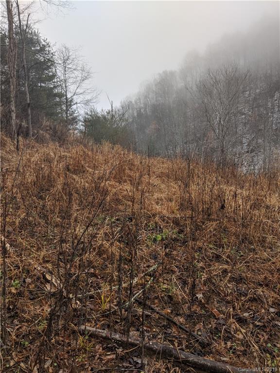 ### Norton Branch Road Marshall, NC 28753 - Photo 2 of 13 Gallery Image 2