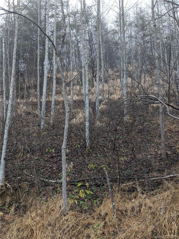 ### Norton Branch Road Marshall, NC 28753 - Photo 3 of 13 Gallery Image 3