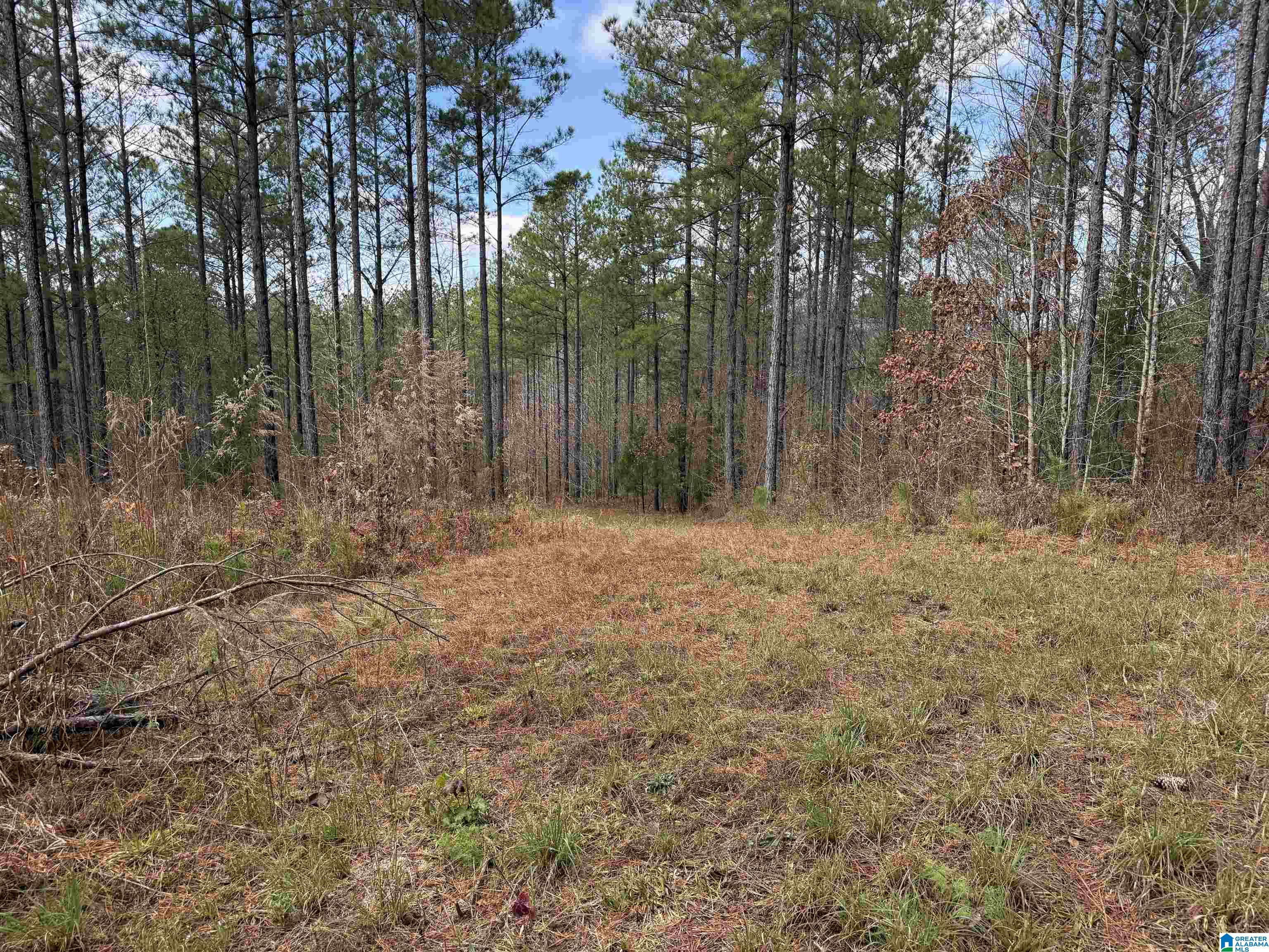 680 Sweet Apple Road, Unit 1 Pell City, AL 35128 - Photo 5 of 7